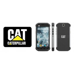 Caterpillar